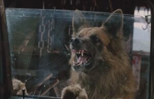 film horror The Breed - La razza del male (2006)