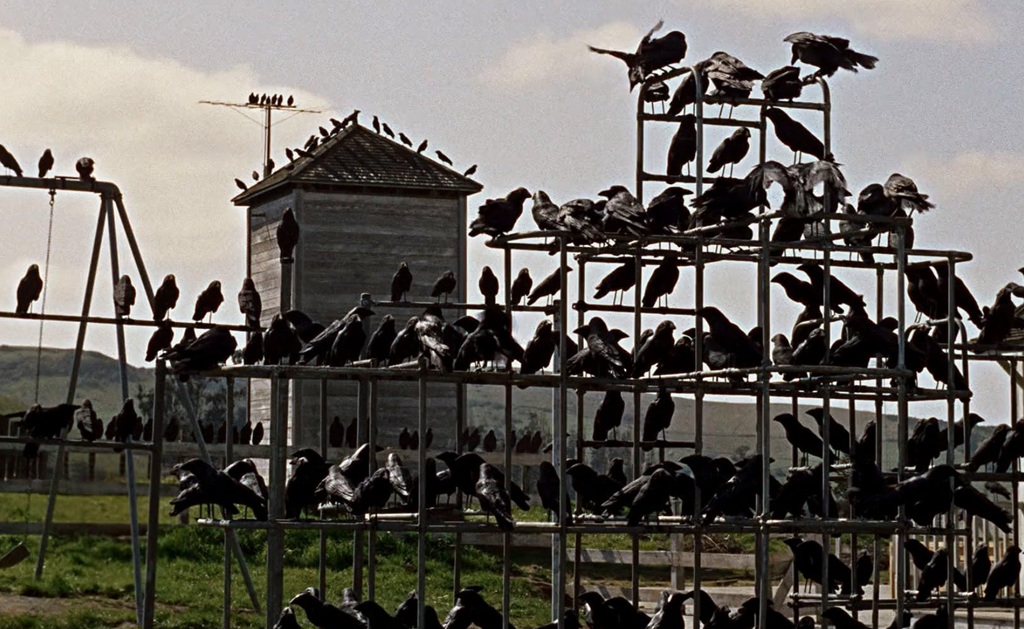 gli uccelli 1963 film