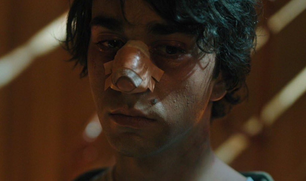 Alex Wolff in Hereditary Le radici del male (2018)