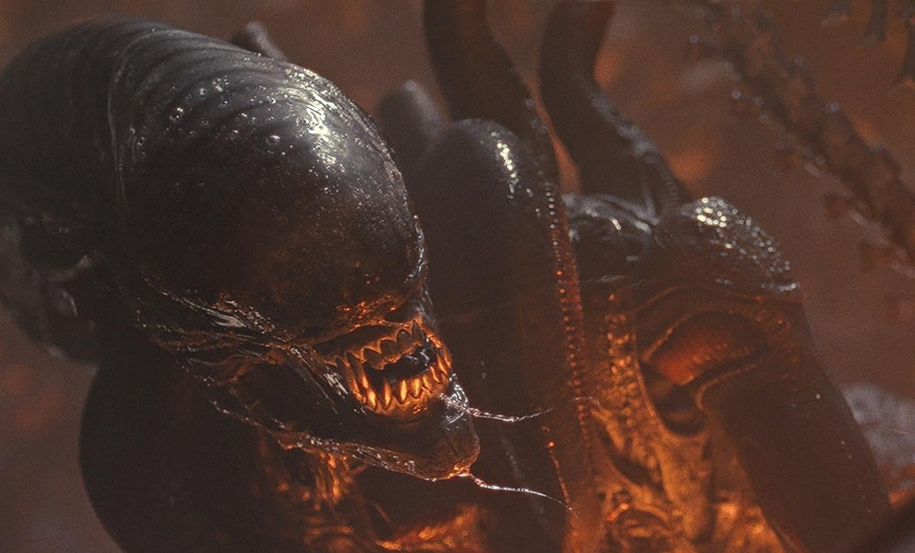 alien romulus xenomorfo film