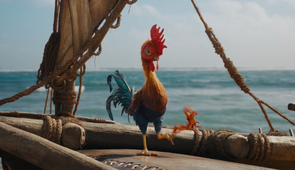 oceania film live action 2026 gallo