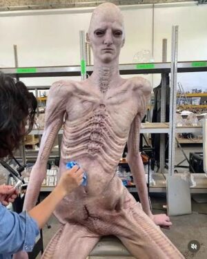 Robert Bobroczkyi alien romulus