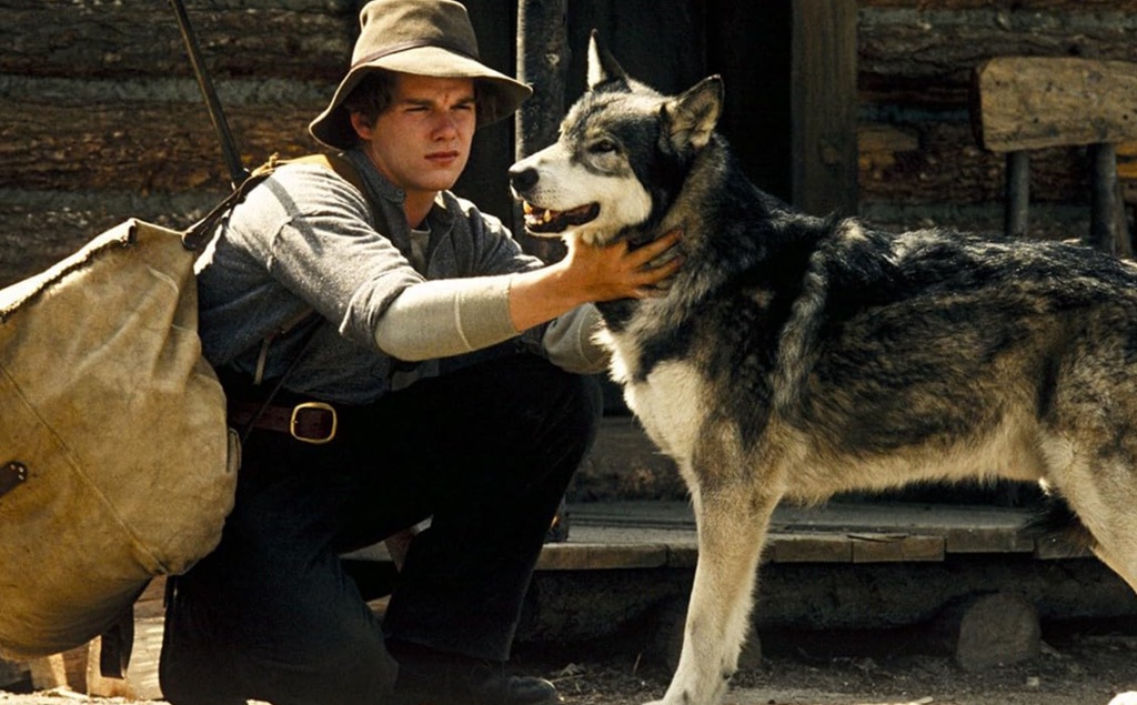 Ethan Hawke in Zanna Bianca Un piccolo grande lupo (1991) Ethan Hawke in Zanna Bianca Un piccolo grande lupo (1991)